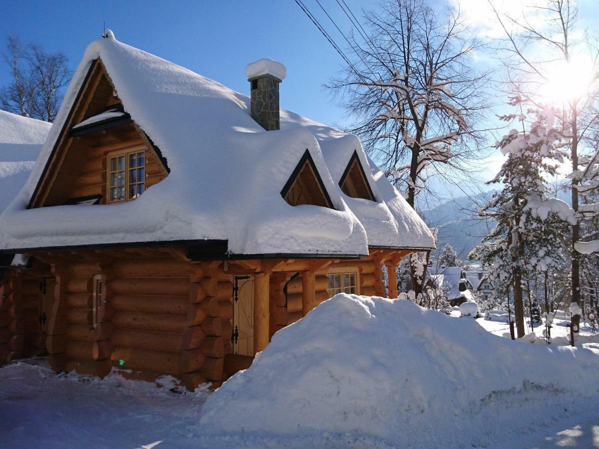 Biolo I Corno Izba Mountain Chalets Kościelisko Buitenkant foto