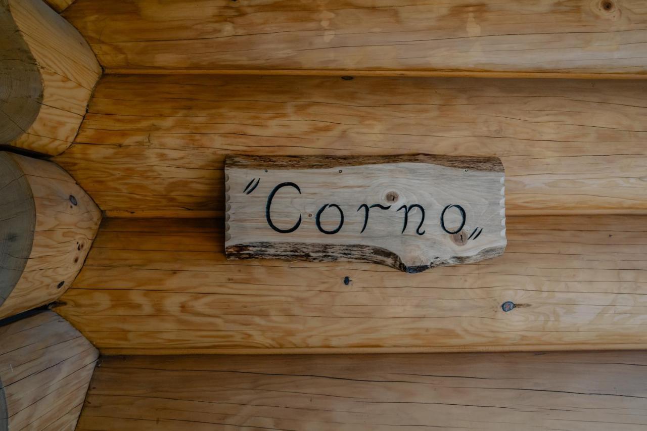 Biolo I Corno Izba Mountain Chalets Kościelisko Buitenkant foto