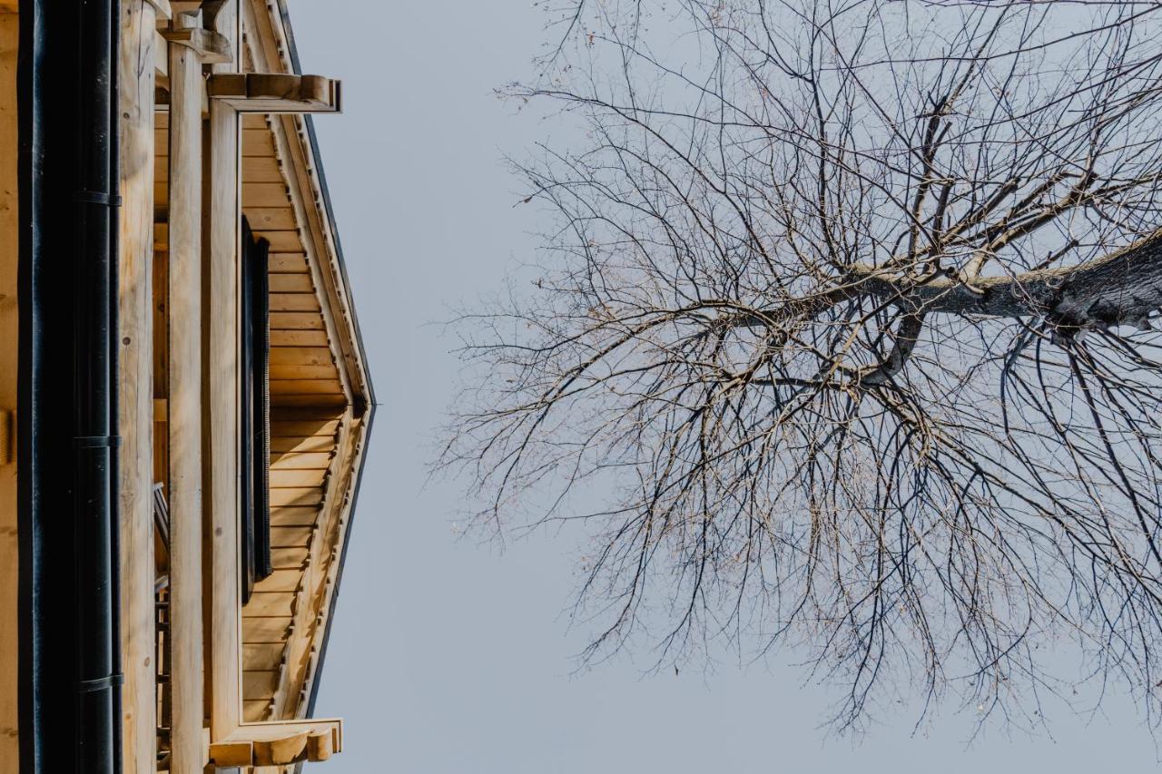 Biolo I Corno Izba Mountain Chalets Kościelisko Buitenkant foto